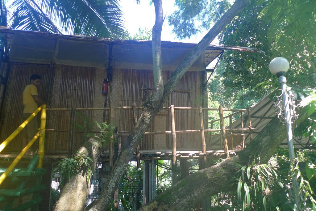 Hilltop Lodge グワーハーティー エクステリア 写真
